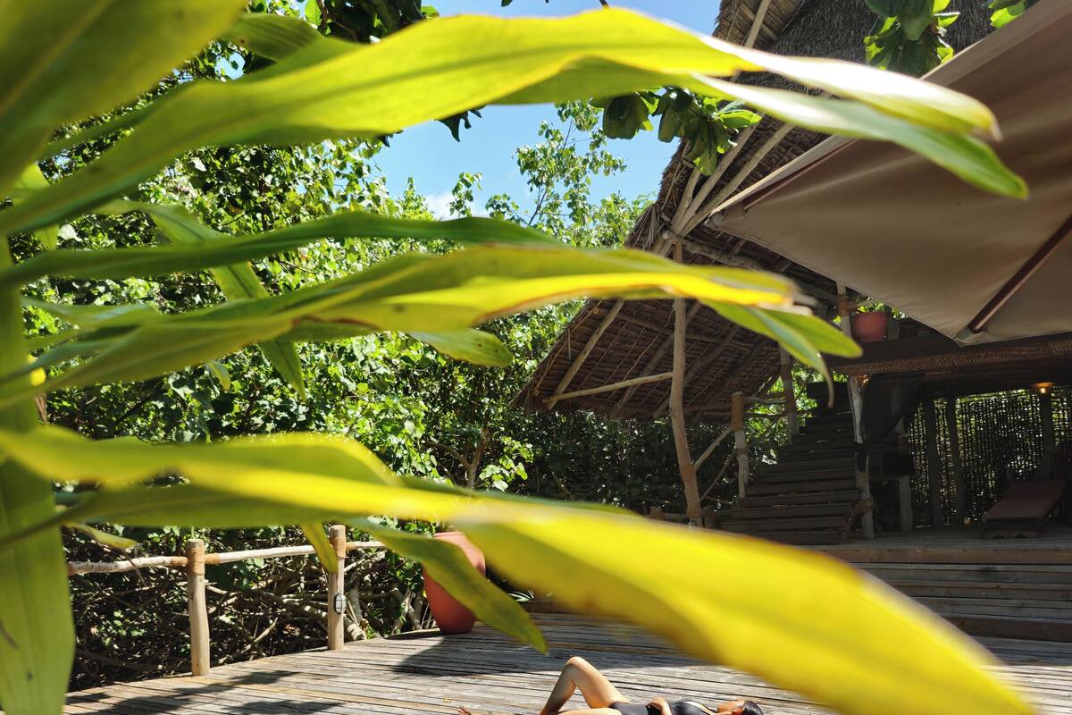 A wooden deck with a swimming pool, surrounded by lush greenery and a thatched-roof structure.