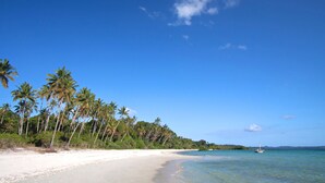 A beach with white sand, palm trees, and clear blue water. - Fundu Lagoon (Pemba Island)