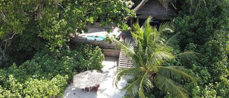 A thatched-roof bungalow with a pool, surrounded by dense tropical foliage.