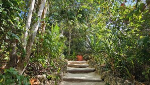 A pathway leading through a lush garden with stone steps and dense foliage. - Fundu Lagoon (Pemba Island)