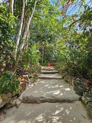 Hiking - Fundu Lagoon (Pemba Island)