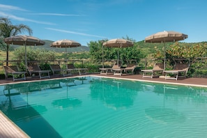 Outdoor pool - Bb La Mortella With Pool (Roccadaspide)