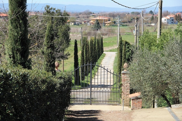 Property grounds - Agriturismo Borgo Santa Lucia, Villa Mimosa (Castiglion Fiorentino)