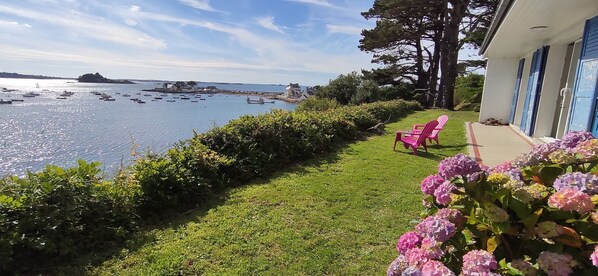 Property grounds - Waterfront - Terenez "Le Petit Nice" - Direct access to the sea (Plougasnou)