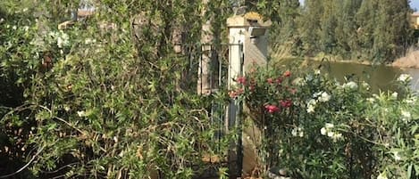 House, 2 Bedrooms, Garden View | Garden