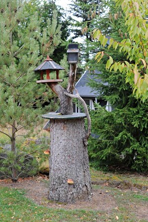 Property grounds - Beautiful apartment in villa for 6 people with pool, TV, terrace and pets allowed (Bitburg)