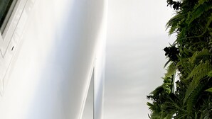 Un bâtiment moderne doté d’une façade incurvée en verre, d’une fenêtre circulaire et d’un cactus en pot placé sur une surface recouverte de petits galets.