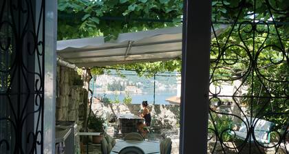 Guesthouse Dragutinovic