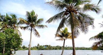 Houseboat Cruise in the Backwaters of Kerala