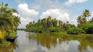 A calm river with dense greenery and palm trees on both sides. - Houseboat Cruise in the Backwaters of Kerala (Kottayam)