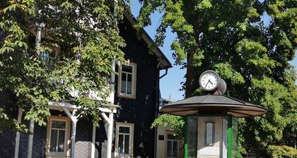 Schöne Ferienwohnung in Jugendstilvilla