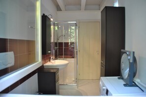 Shower, hair dryer, bidet, towels