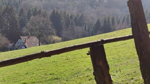 A rural landscape with a wooden fence, a grassy field, and a house with a sloped roof in the background.