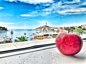 View from room - Hotel Delfin (Rovinj)
