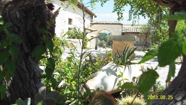 Room, 1 Bedroom, Accessible, Smoking | Property grounds - Room in Guest Room - Private Room in Farmhouse With Swimming Pool (Modica)