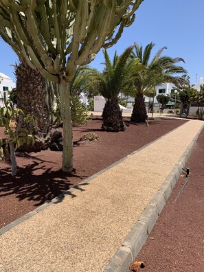 A landscaped area with a gravel path, palm trees, and cacti.