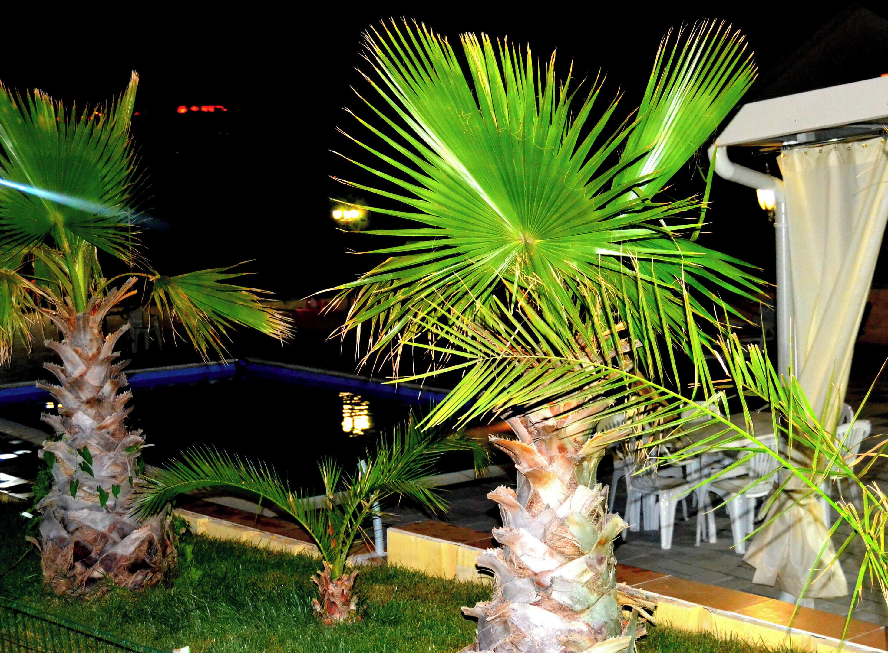 Villa, 5 Bedrooms, Accessible, Smoking | Garden