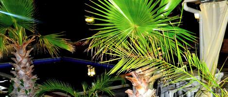 Villa, 5 Bedrooms, Accessible, Smoking | Garden