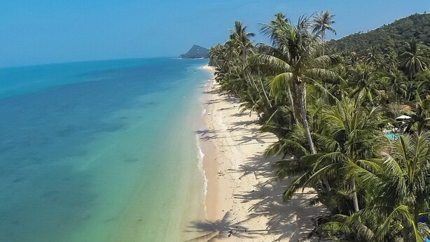 Ein Strand mit klarem türkisblauem Wasser, einem sandigen Ufer, das von Palmen gesäumt wird, und einem Berg in der Ferne.