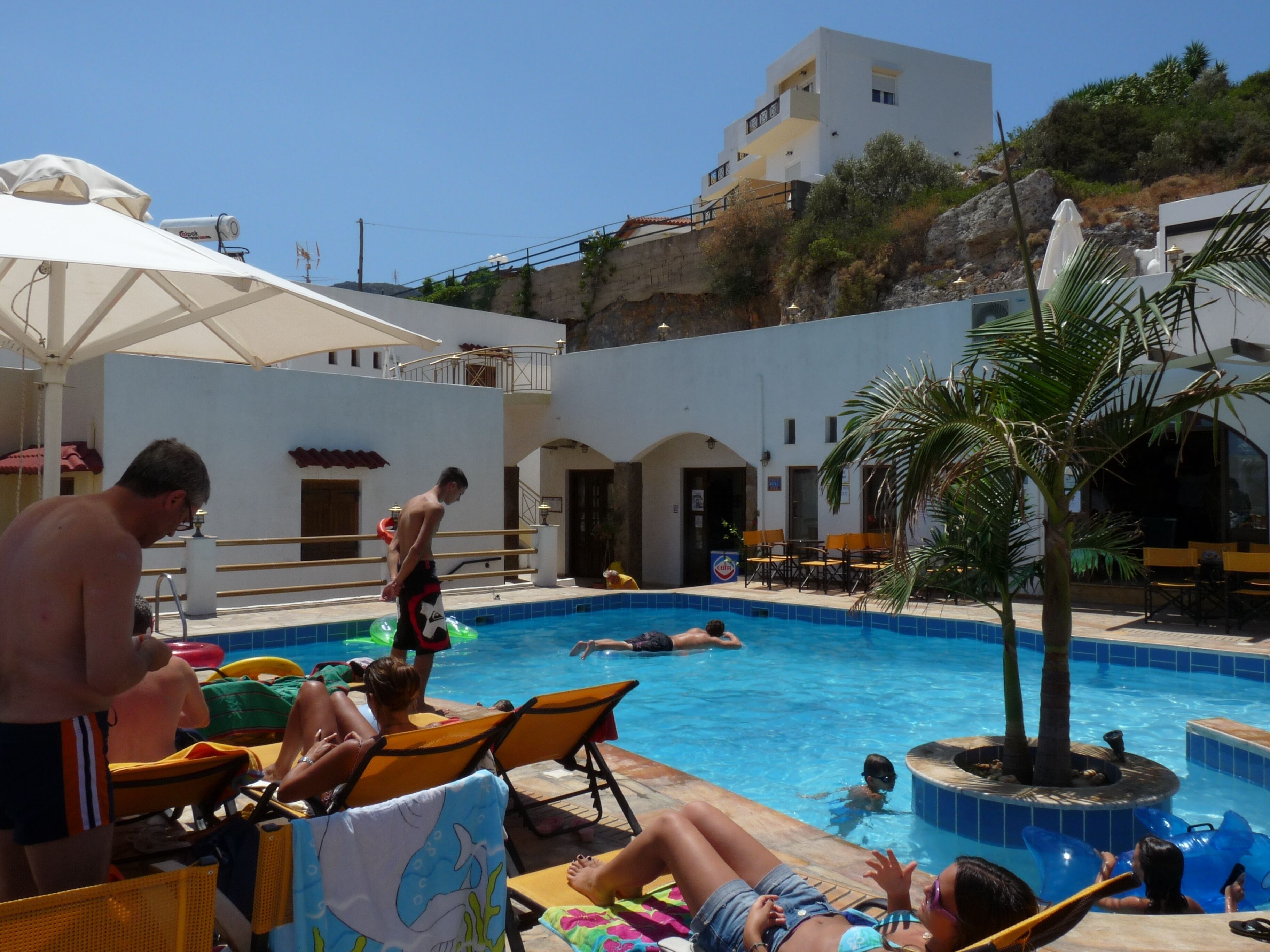 A swimming pool area with lounge chairs, a palm tree, and a building in the background.