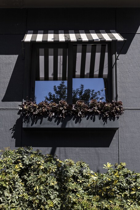 The Modernist Athens - Image 5