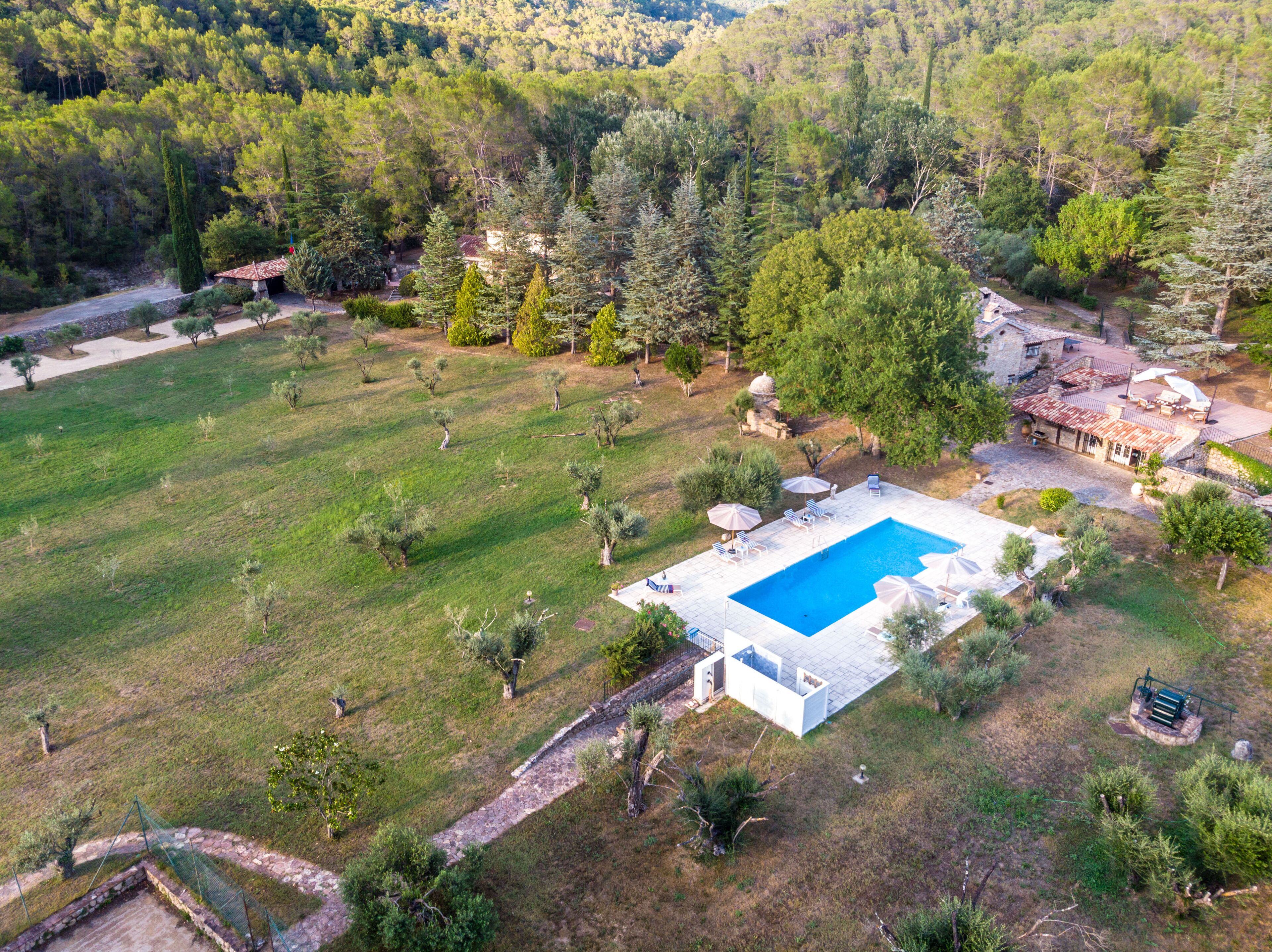 An aerial view of a property with a swimming pool, surrounded by a grassy area and trees.