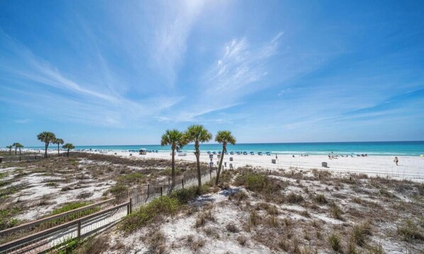 Studio (1 Bedroom) | Interiör