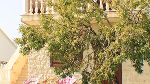 Room, 1 Bedroom, Accessible, Smoking | View from property - Room in Guest Room - Triple Azul - Casa Rural (Modica)