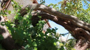 Exterior - Room in Guest Room - Triple Azul - Casa Rural (Modica)
