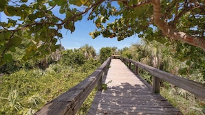 A wooden boardwalk surrounded by lush greenery and trees.
