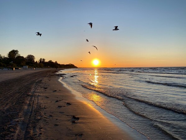 House, 2 Bedrooms, Smoking, Private Pool | Beach - Cottage by the Sea, Guest House Melon (Jurmala)