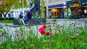 Una estatua en una plaza pública con una librería al fondo.