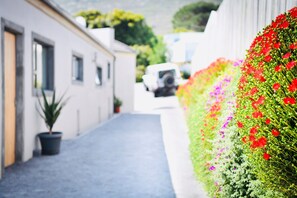 Avgiftsfri parkering i närheten