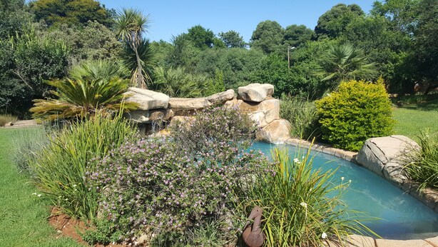 A landscaped garden with a swimming pool, surrounded by various plants and rocks. - Since 2006 African Silhouette Offers Safe, Tranquil and Highly Recommended Stays (Benoni)