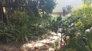 A garden with a stone pathway, various plants, and a wooden fence. - Since 2006 African Silhouette Offers Safe, Tranquil and Highly Recommended Stays (Benoni)