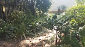 Stroll through the lush garden, surrounded by a variety of plants and trees, along a winding stone pathway.