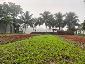 Villa | Property grounds - Aminvilla Resort (Sylhet)