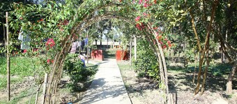 Aminvilla Resort