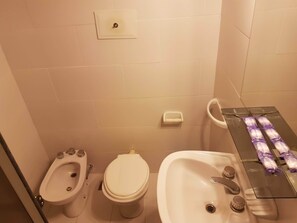 Combined shower/bathtub, bathrobes, bidet, towels