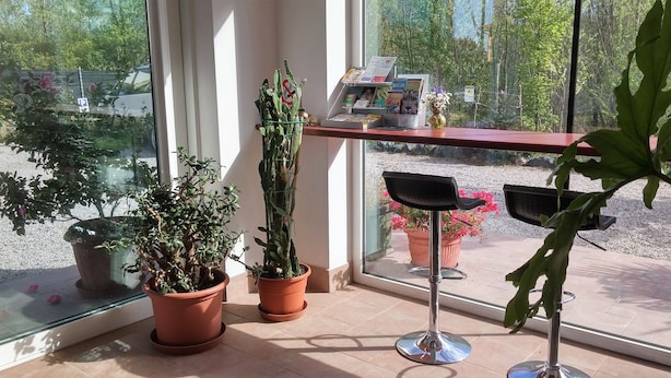A balcony with potted plants, a seating area, and a view of the outside. - Venice Mestre Tourist Accommodation, Quiet Room With Wifi and Free Parking (Mestre)