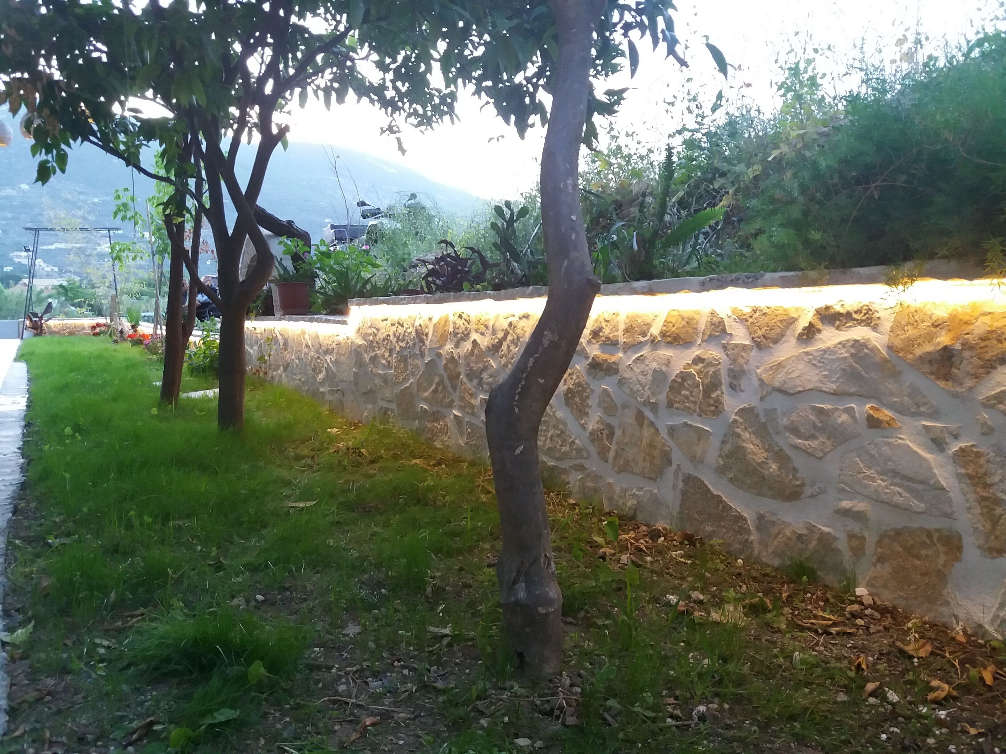 Un muro di pietra con una zona erbosa e alberi.