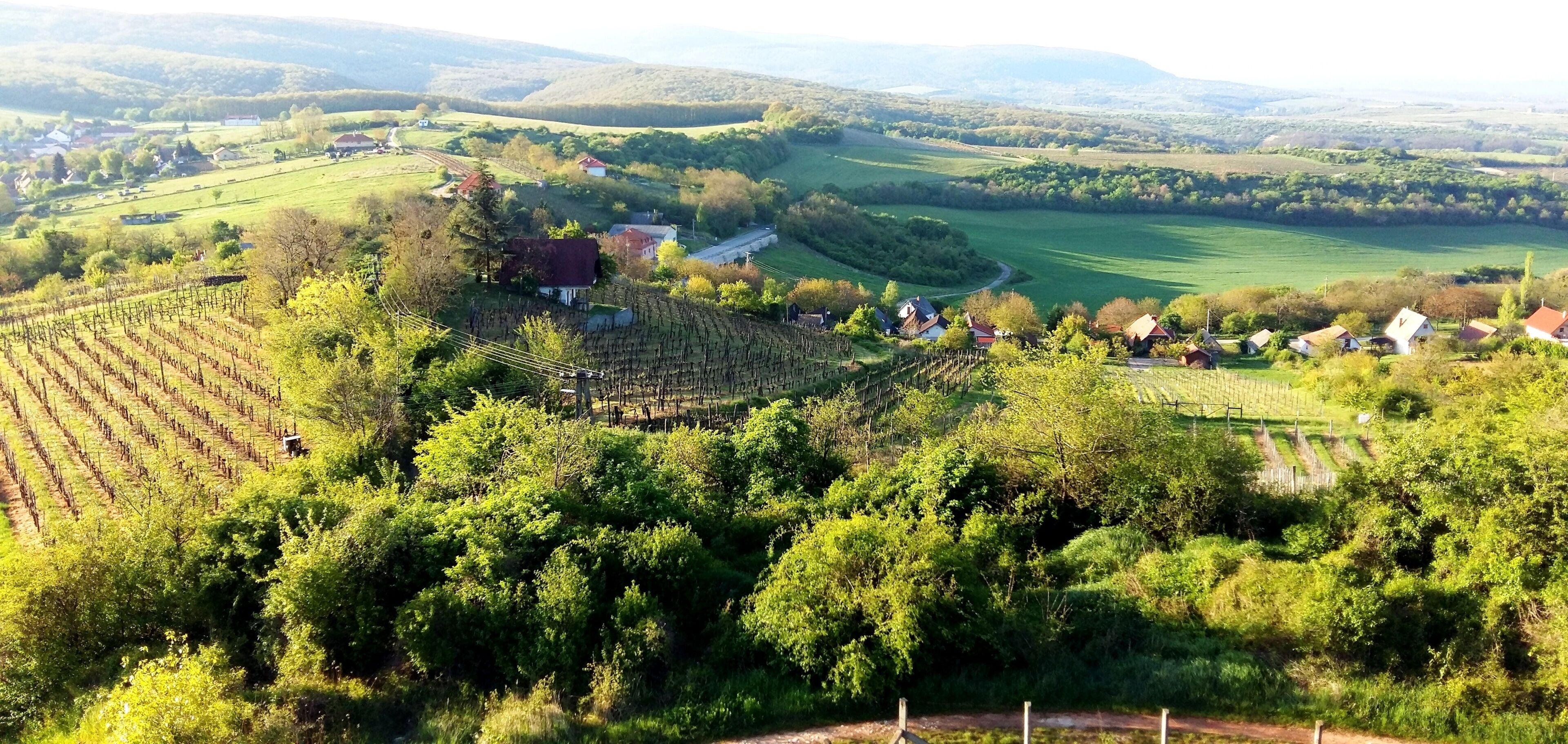 Vista desde la propiedad
