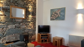 Smart TV, fireplace, DVD player, books