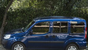Ein blauer Van steht auf einer Straße, im Hintergrund Bäume.