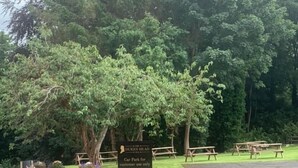 A car park sign for The Dukes Head, with picnic tables and a stone wall.