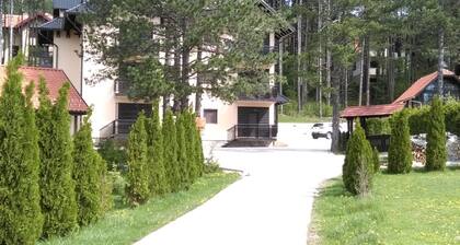 Apartment Bubica Zlatibor Best for Family Holidays and Couples in Love