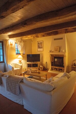 Fernseher, Kamin, Tischtennisplatte, Bücher