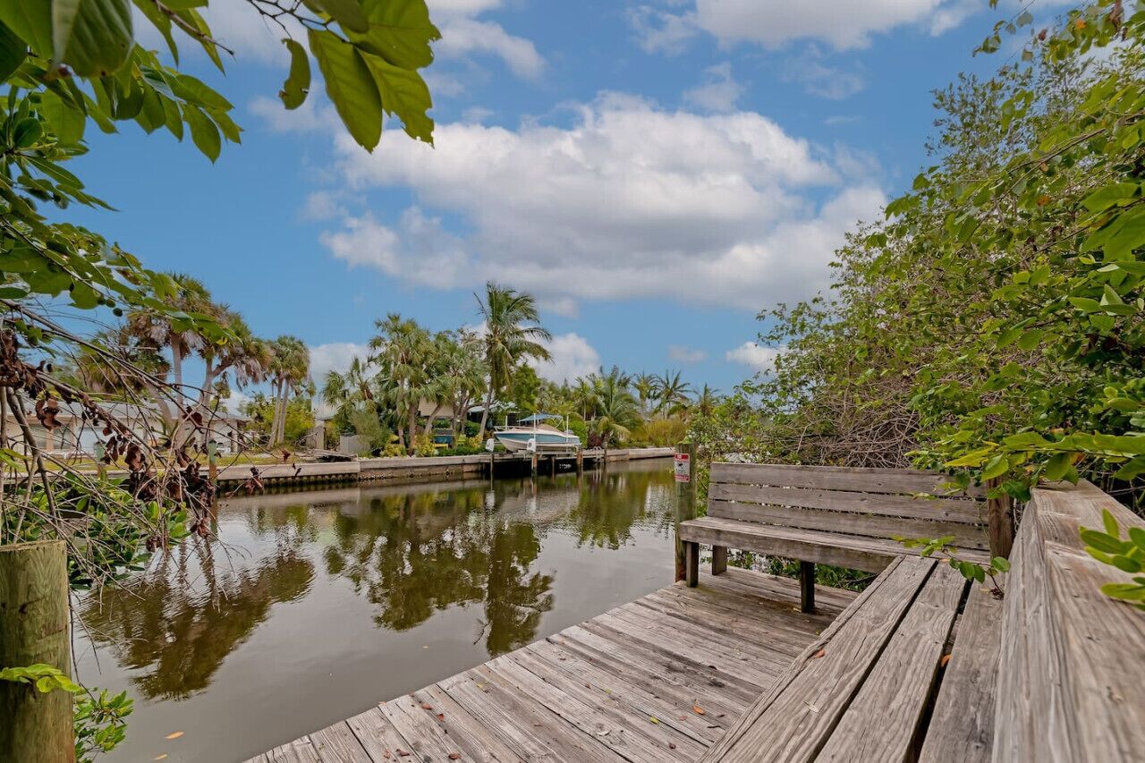 A wooden dock extending over calm water, surrounded by lush greenery and palm trees.