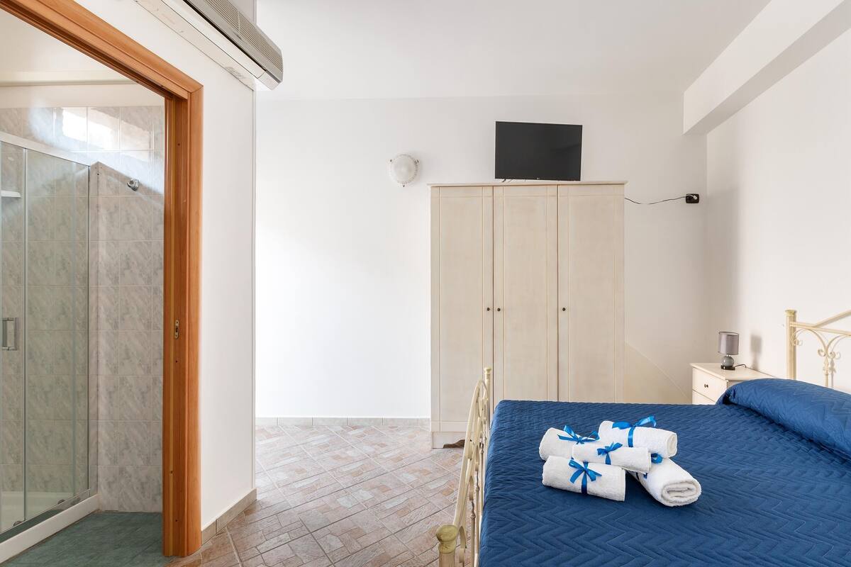 A hotel room with a bed, a wardrobe, a TV, and a shower area.