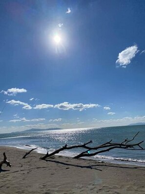 Apartment, 1 Bedroom, Smoking, Balcony | Beach